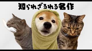 動画サムネイル