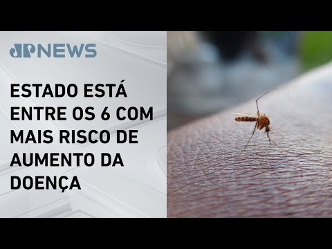 Rio de Janeiro registra aumento de casos de dengue