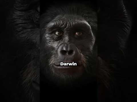 How Evolution Made God Unnecessary 🧐 w/ Richard Dawkins