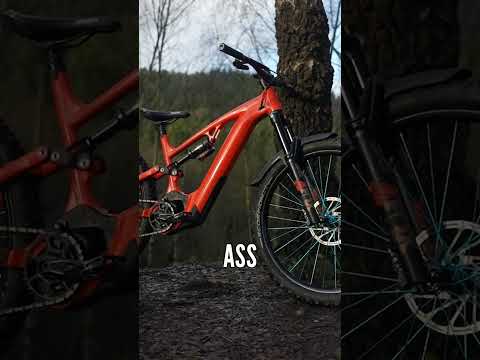 Are Mudguards A Necessity For You?