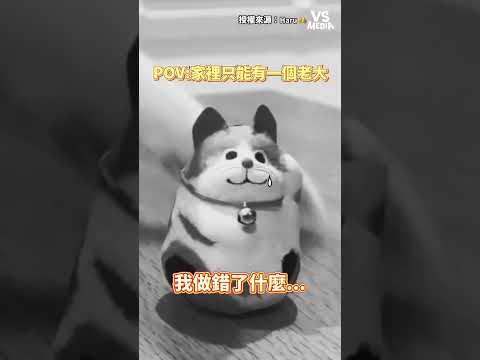 幫玩偶默哀3秒鐘 #貓拳｜VS MEDIAｘ𝗛𝗮𝗿𝘂 👑