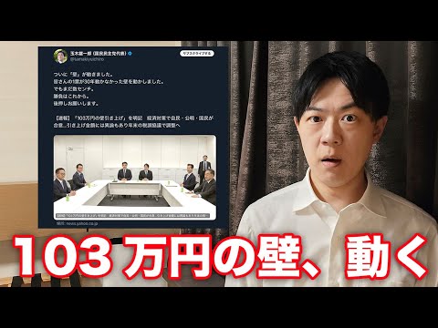 103万円の壁引き上げで自公、国民民主党が合意！快挙だけど安心は出来ない…