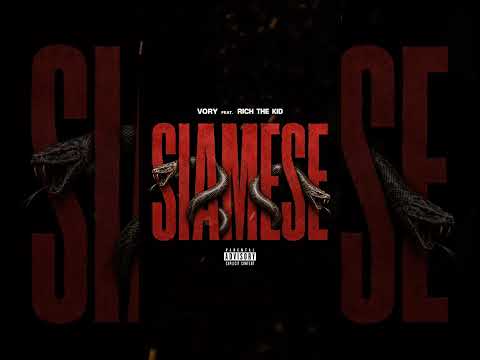 New single from the Dondada album, "SIAMESE," by Vory Ft. @richthekid  out now. 🦅