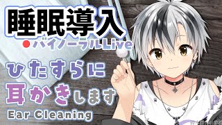 🛑【Binaural/ダミーヘッドマイク】本気で眠りたい人のためのじっくり奥まで耳かき 2025.6.18【にじさんじ/鈴木勝】