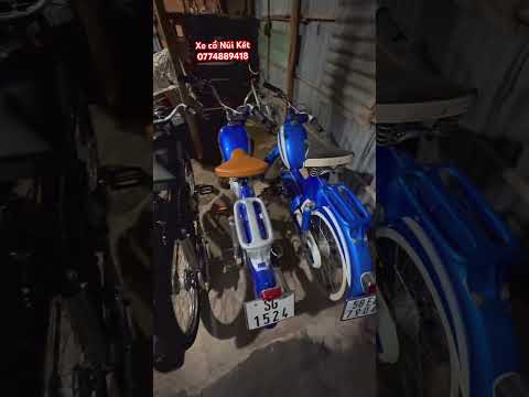 #mobylette #sachs goebel