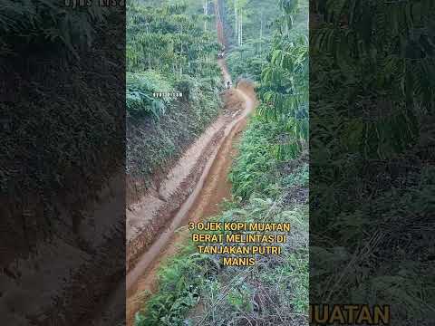 OJEK KOPI KISAM MELINTAS DI TANJAKAN PUTRI MANIS#shorts