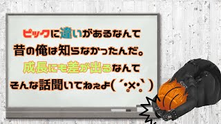 【ウルテム】8枚のピックを弾き比べてみた【べっ甲】