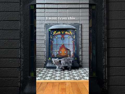 Bee’s glow up #cat #kitten #kittengrowth