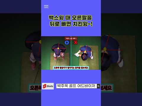 백스윙 때 오른팔을 뒤로 빼면 치킨윙!!  박주욱 골프 어드바이져