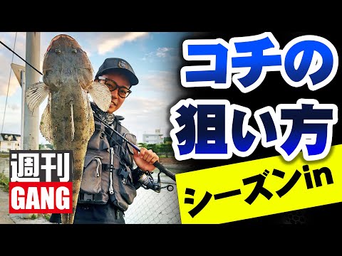 週刊GANG#7　コチシーズン到来！コチの狙い方【旬の釣り】【最新タックル】【質問コーナー】