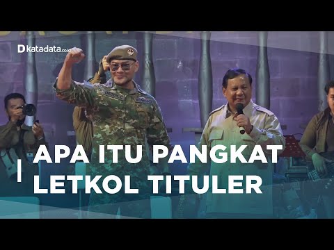 Warga Sipil Bisa Jadi TNI, Apa Itu Pangkat Letkol Tituler ?