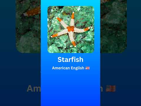 How to Pronounce Starfish (American English 🇺🇲) #2024 #english #language #pronunciation #starfish