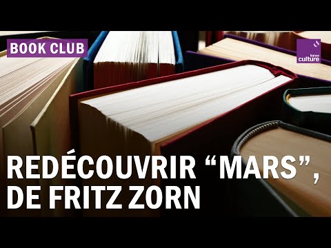 Vidéo de Fritz Zorn