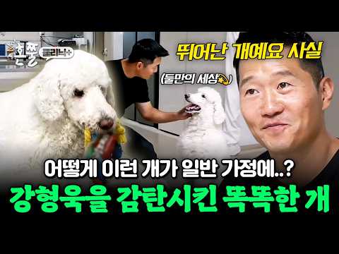 🌸강형욱이 인정한 똑똑한 스탠다드 푸들의 놀라운 행동 | #<strong>개와늑대의시간</strong> 9회