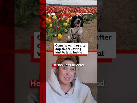 Owner's warning after dog's tulip festival death. #Yorkshire #BBCNews