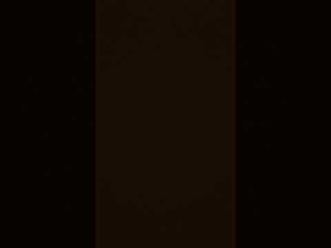 24 December 2023