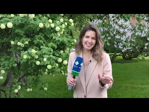 Детали. LIFE. 24.05.21
