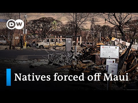 High house prices force wildfire victims off Maui | DW News