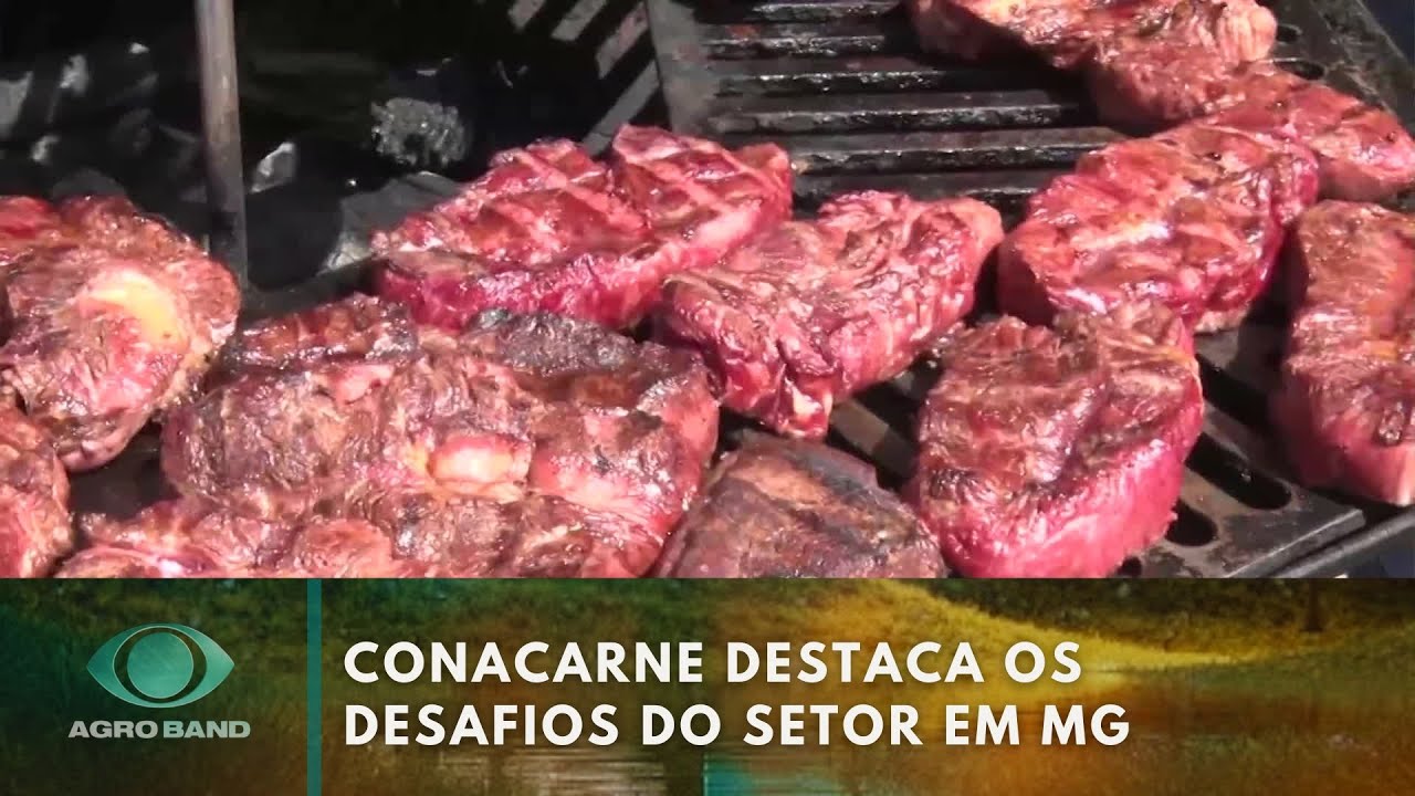 Conacarne destaca os desafios do setor em MG