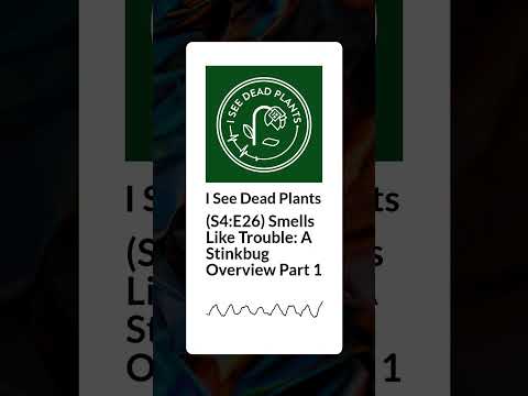 (S4:E26) Smells Like Trouble: A Stinkbug Overview Part 1 | I See Dead Plants