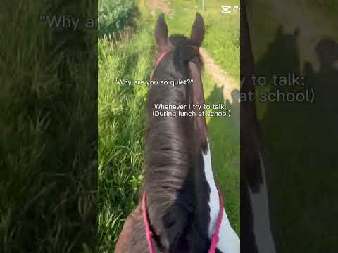 Yeahh… #horse #equestrianjourney #horseenthusiast #stopanimalabuse #equestrian #horsefan #horsegirl