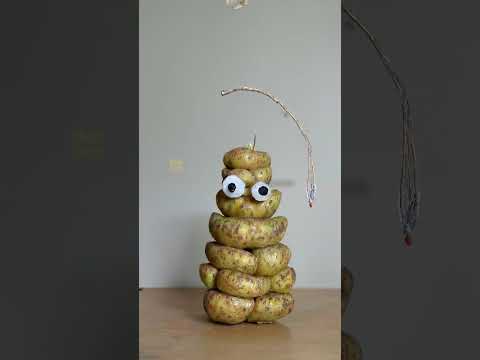 new picture YouTube #shortfeed #babifreitas