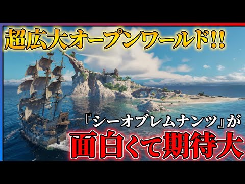 【期待の新作】海を旅するオープンワールド『シーオブレムナンツ』が面白いので紹介したい!!【ゲーム紹介】