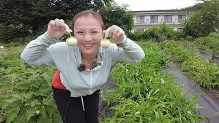 動画サムネイル