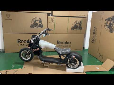 Rooder mangosteen Citycoco m1 m1p m2 m6 m6g m8 electric scooters review Chopper Roller unboxing