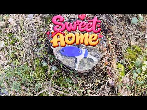 SWEET HOME. Міжнародний кіноворкшоп для дітей і молоді «ОДНИМ КАДРОМ» Леба, Польща, 2026