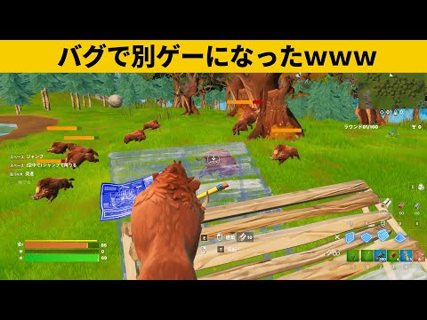 【小技集】誰でも動物化できるチートモードｗシーズン４最強バグ小技裏技集！【FORTNITE/フォートナイト】