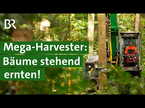 Schonende Holzernte im Wald mit XXL-Harvester Hannibal | Hightech Maschine | Unser Land | BR