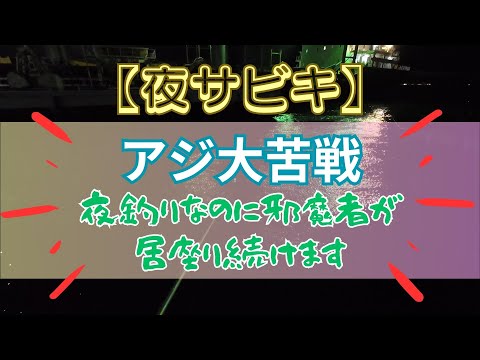 夜サビキでアジ釣り！！～いつまでも居座る邪魔者に苦しめられる～