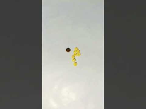 Making a Beaded Sunflower 🌻 | Simple & Satisfying Bead Art #shorts #craft #beads #diy #jewelrymaking