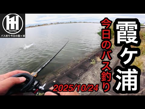 バス釣り今日の霞ヶ浦!デカいの来た⁉︎2025年10月24日