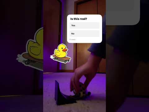 Do a flip. #music #foryou #funny #musiclyrics #songlyrics #edit #duck #duckie #skateboarding