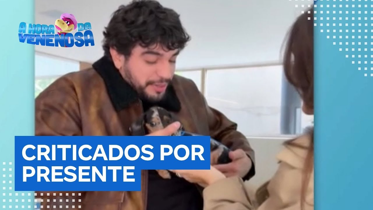 Rafa Kalimann é criticada após comprar cachorro de presente para Nattanzinho