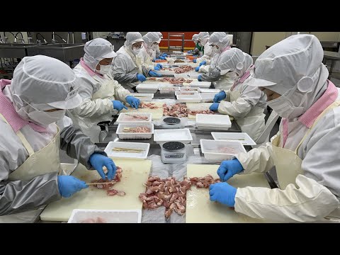 상상 그 이상! 한국 꼬치 공장의 압도적인 대량 생산 현장 Amazing skewers mass production process at korean skewers factory