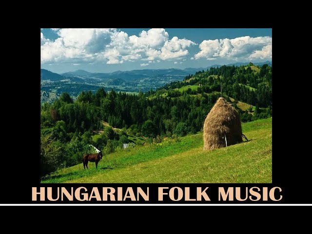 Discover the Transylvanian Folk Music Scene