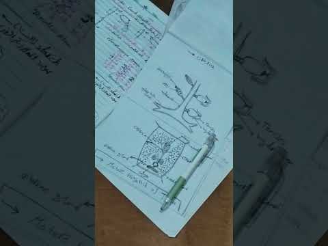 يرفع الله الذين آمنوا منكم ❤#العلم_النافع #العِلم_نور