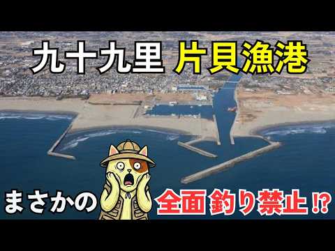 悲報【片貝漁港】まさかの全面釣り禁止!? 作田川河口・九十九里の巨大釣り場を調査したら最後に希望が…