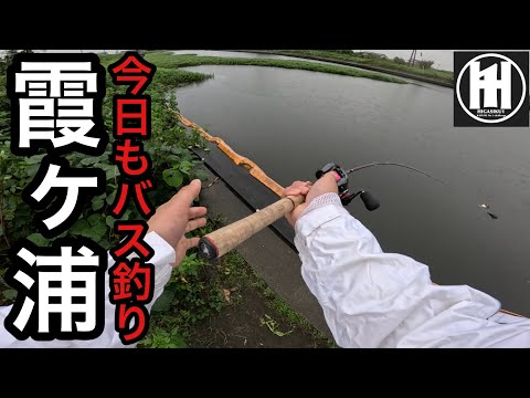 霞ヶ浦バス釣り!横利根川、前川2026年9月30日