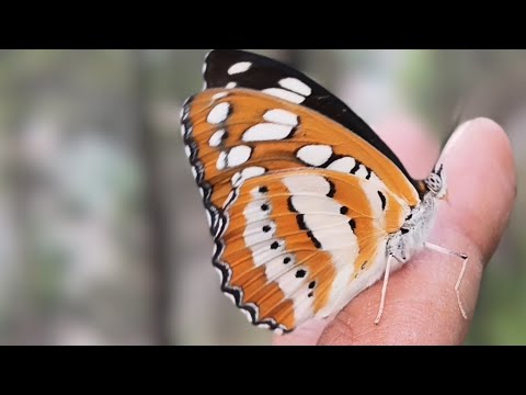 Welcome in my 364th support Live Strem || Connect 🔄 India🇮🇳 Connect 🔄 Globally 🌍