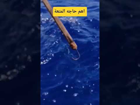 سيبك انت المتعة في التقويسة