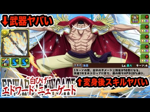 "白ひげ"『エドワード・ニューゲート』は最低何体確保するべき？強いところは？【パズドラ】