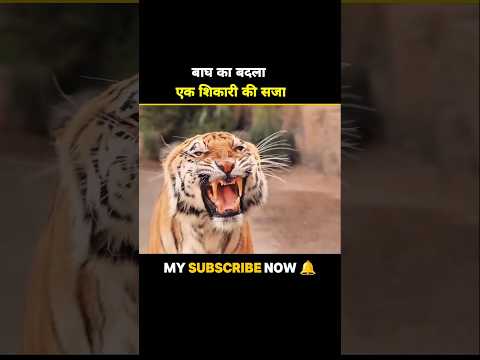 Baagh ka badala ek shikaaree kee saja 🐯🤯#shorts