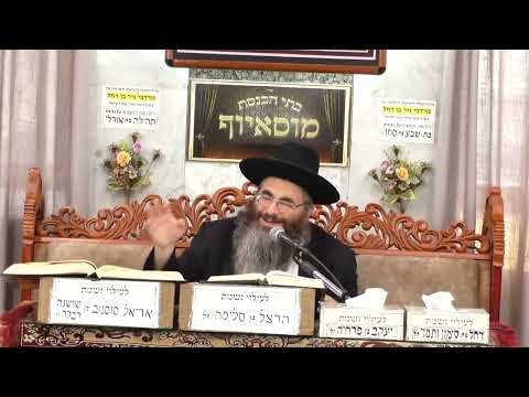 הרב עופר כודרי | פרשת לך לך | בית הכנסת