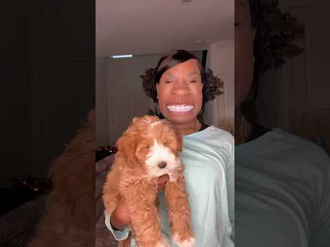 Meet Coco’s dog ThatDoodLegend (on Instagram and Tiktok)! Come watch him grow 🐶 #shorts #coco #skit