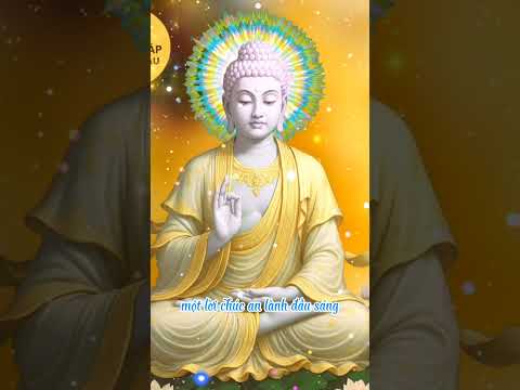 Lời Phật Dạy Về Sức Mạnh Của Lời Nói Thiện Lành #loiphatday #nhanqua #shorts