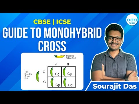 Guide to Monohybrid Cross | CBSE | ICSE | Sourajit Sir